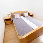 Smile Family Apartment, Garage Free Parking, Centar Located アパート *